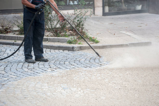 Best Fence Cleaning  in Rio Linda, CA